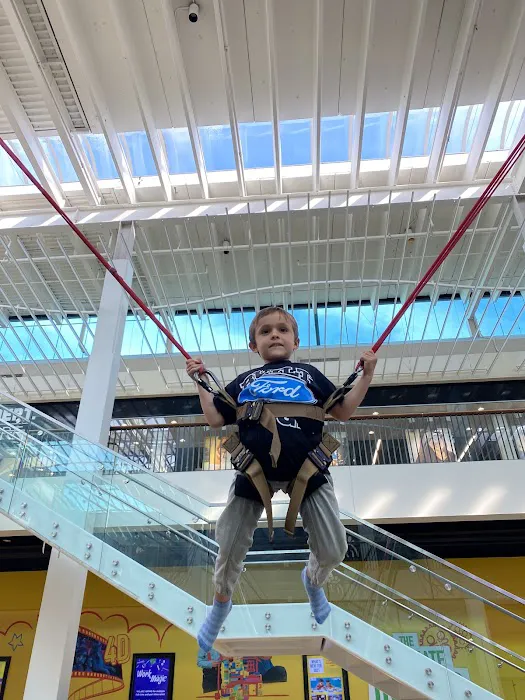 Jump Star Bungee Trampoline Picture 9