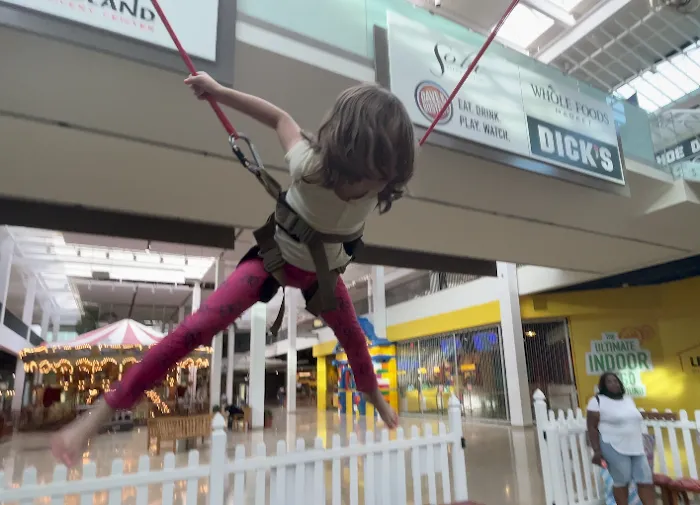 Jump Star Bungee Trampoline Picture 10