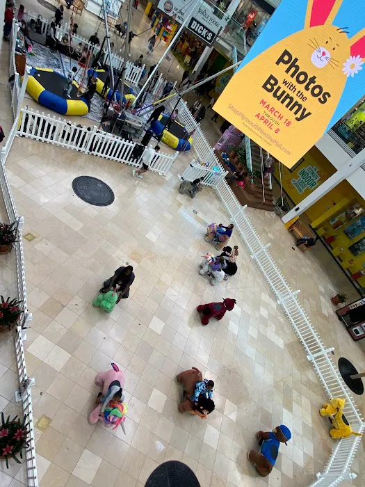 Jump Star Bungee Trampoline Picture 6
