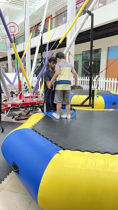Jump Star Bungee Trampoline Picture 4