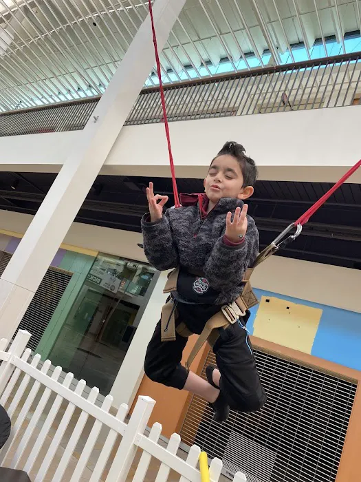 Jump Star Bungee Trampoline Picture 5