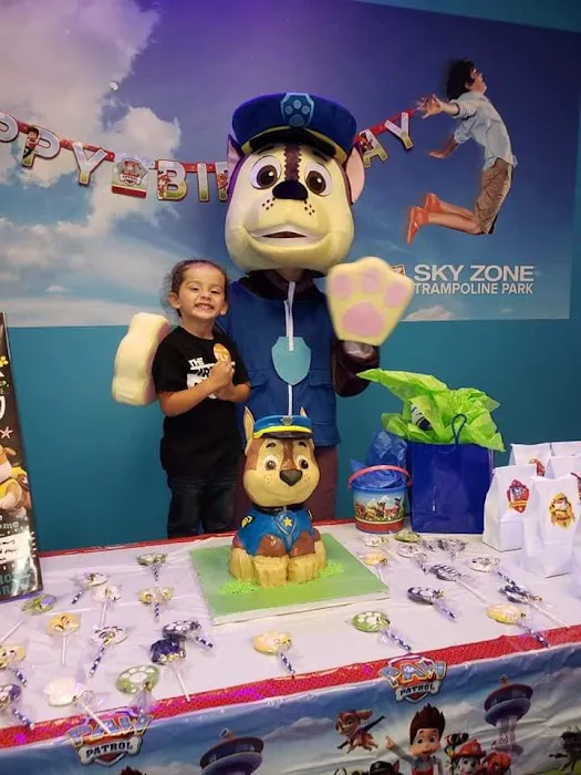 Sky Zone Easton-Lehigh Valley Picture 9