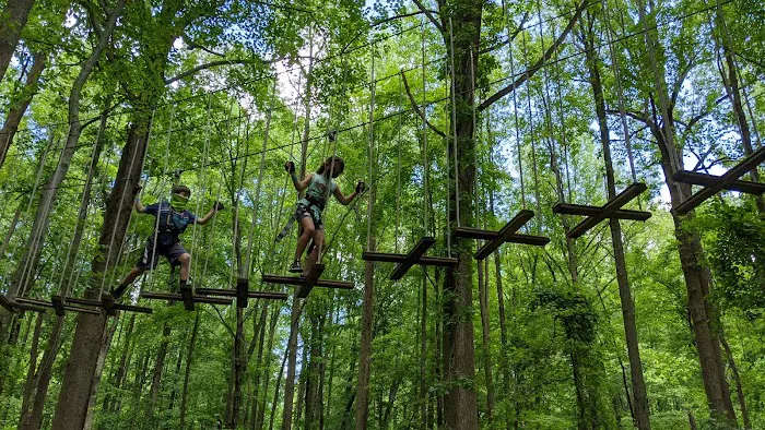 Go Ape Zipline and Adventure Park Picture 3