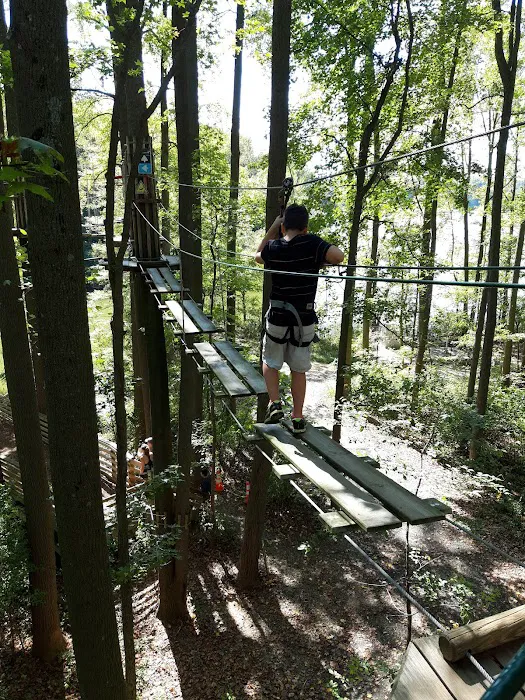 Go Ape Zipline and Adventure Park Picture 1