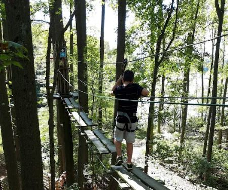 Go Ape Zipline and Adventure Park