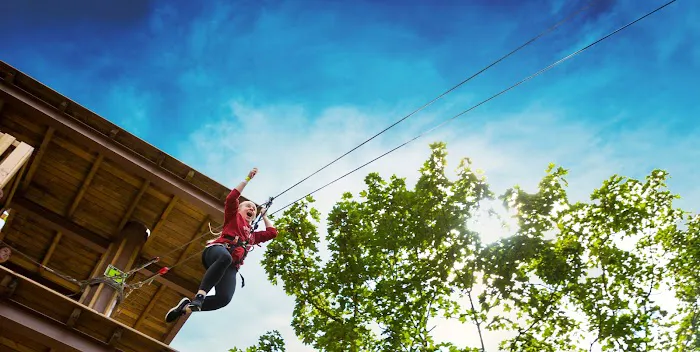 Go Ape Zipline and Adventure Park Picture 10