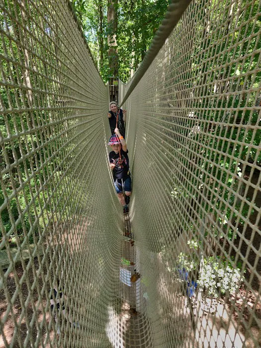 Go Ape Zipline and Adventure Park Picture 9
