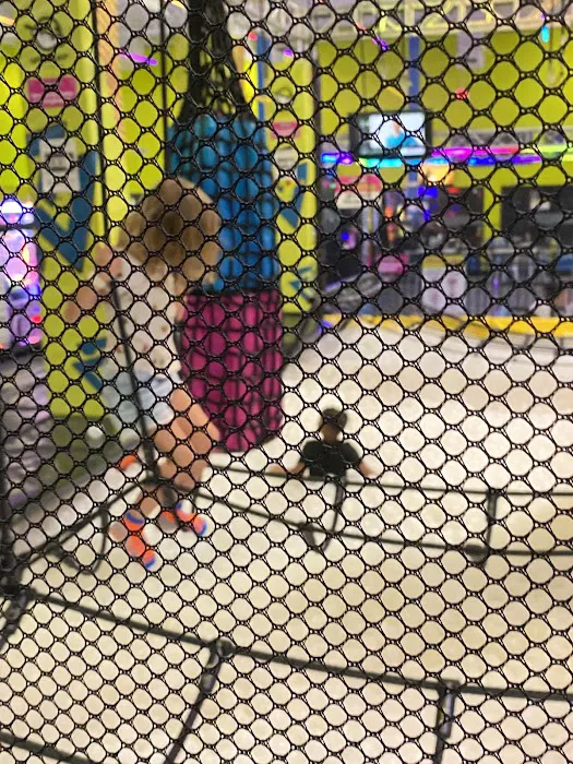 Urban Air Trampoline and Adventure Park Picture 3