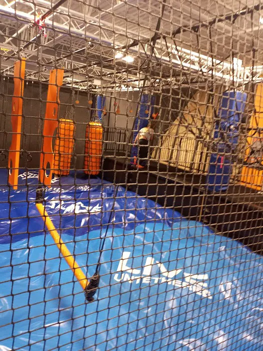 Sky Zone Trampoline Park Picture 4