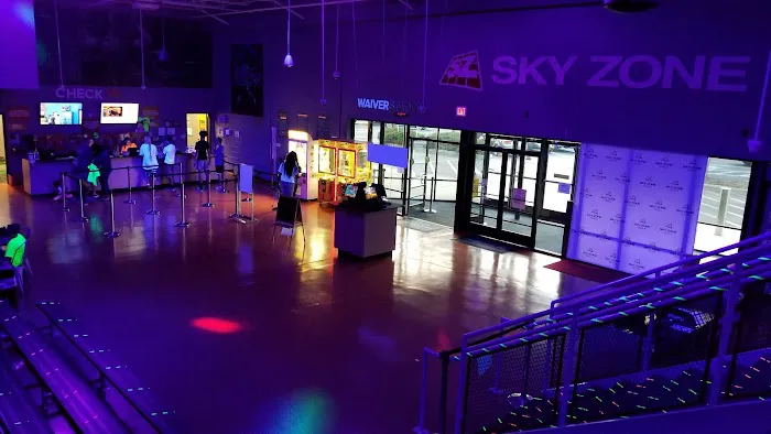 Sky Zone Trampoline Park Picture 9
