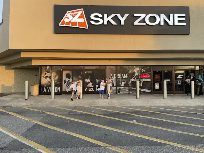 Sky Zone Trampoline Park Picture 6
