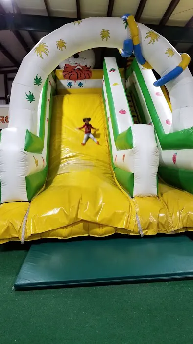 Jungle Zone Picture 2