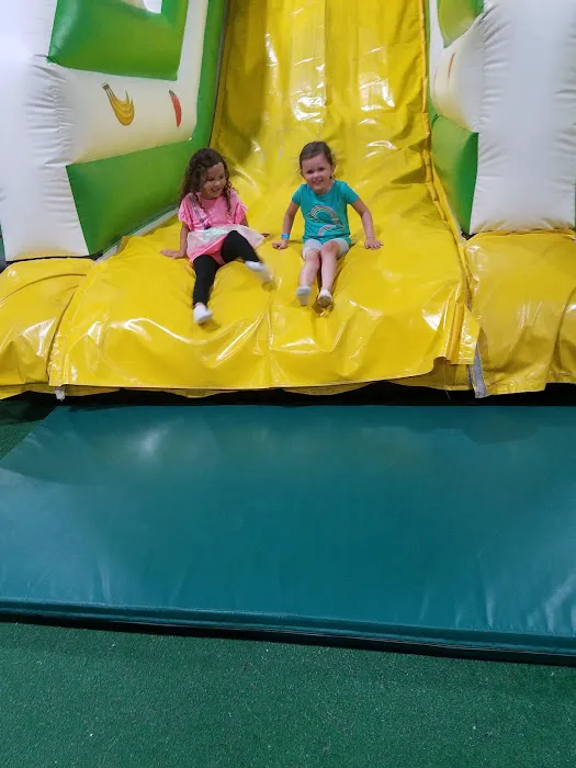 Jungle Zone Picture 5