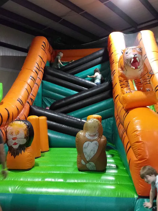 Jungle Zone Picture 4