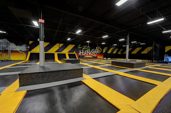 Sky Zone Trampoline Park Picture 6