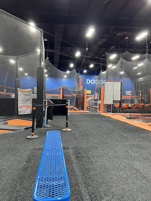 Sky Zone Trampoline Park Picture 3