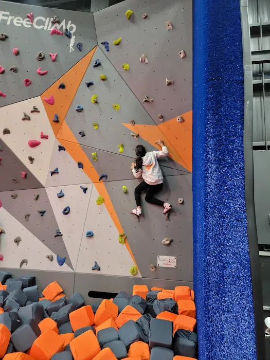 Sky Zone Trampoline Park Picture 5