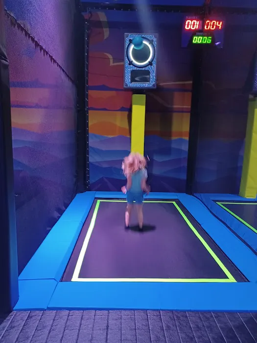 Altitude Trampoline Park Picture 5