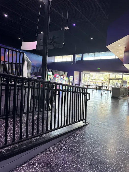 Altitude Trampoline Park Picture 10