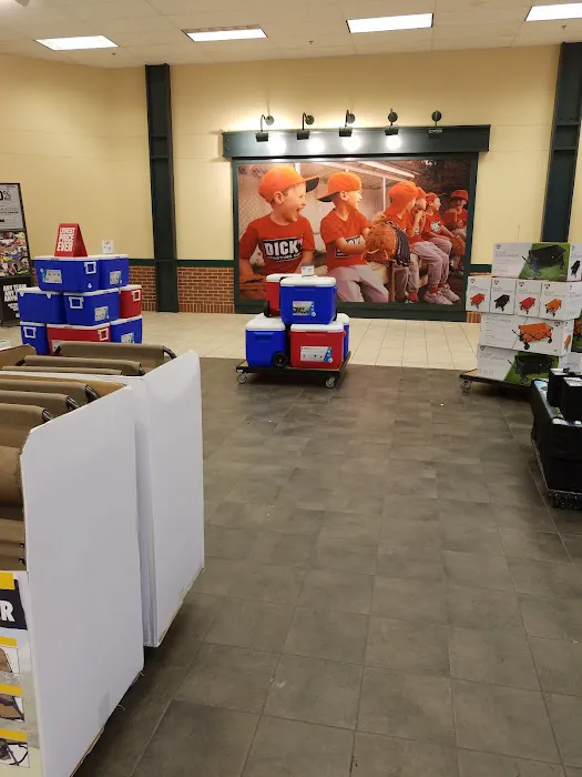 DICK'S Sporting Goods Picture 4