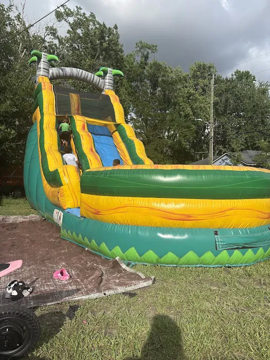 Wii Bounce Picture 8