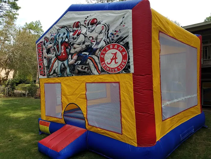 Go Jump and Slide Inflatables Picture 1