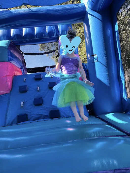 Go Jump and Slide Inflatables Picture 10