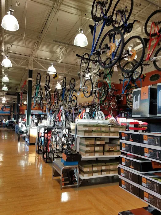 DICK'S Sporting Goods Picture 1