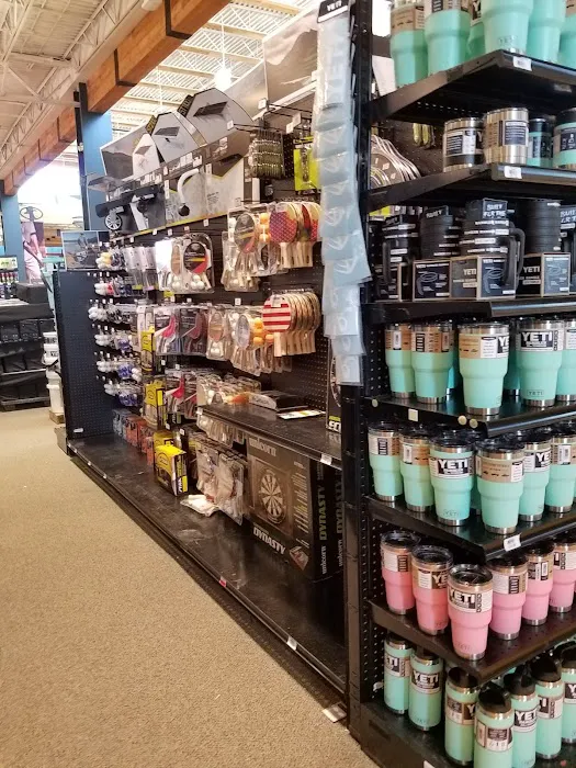 DICK'S Sporting Goods Picture 2