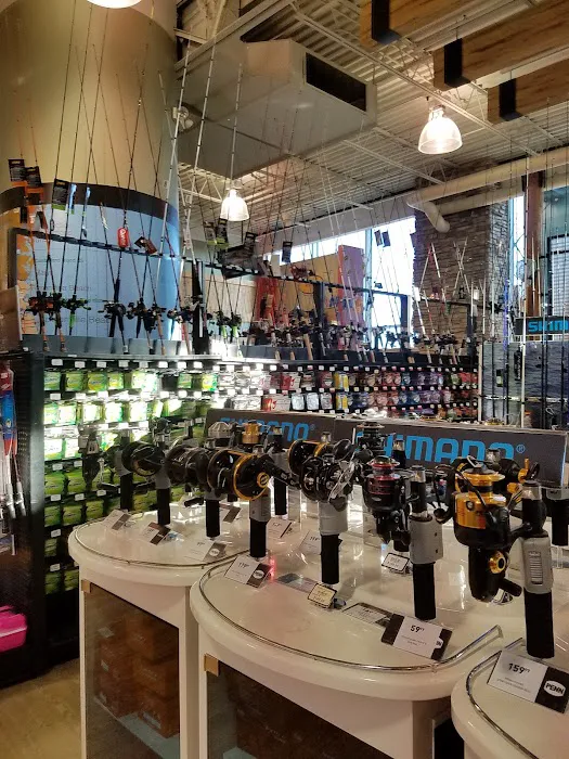 DICK'S Sporting Goods Picture 9