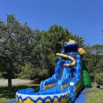 Destin Bounce House LLC & Inflatables rentals.