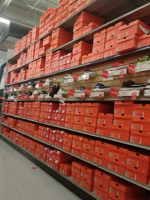 Academy Sports + Outdoors Picture 9