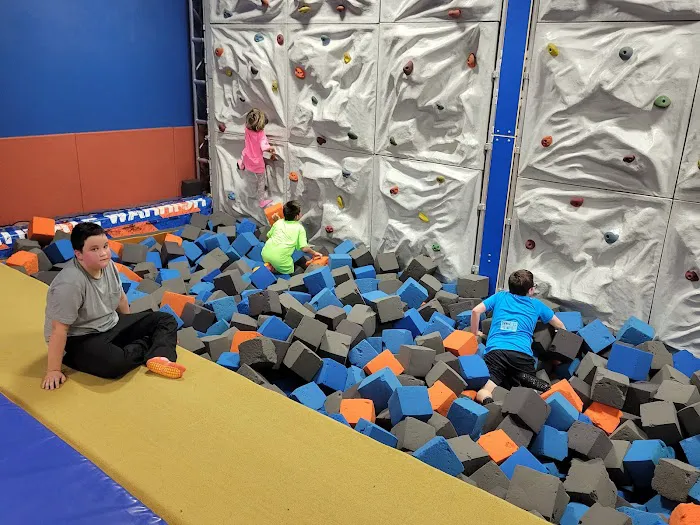 Sky Zone Fenton Picture 5