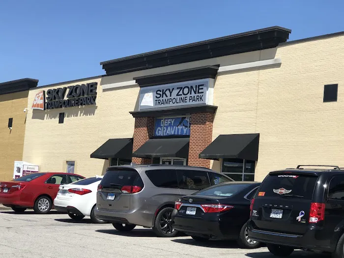 Sky Zone Fenton Picture 4