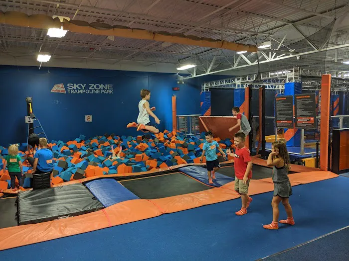 Sky Zone Fenton Picture 1