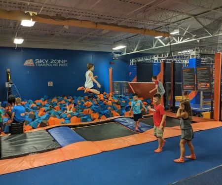 Sky Zone Fenton