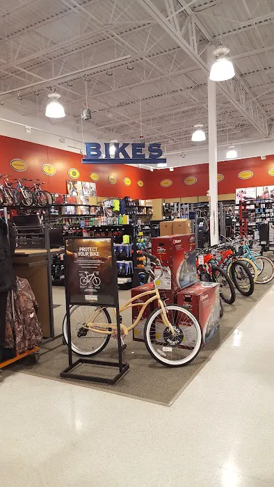 DICK'S Sporting Goods Picture 4