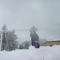 Stewart Park ico