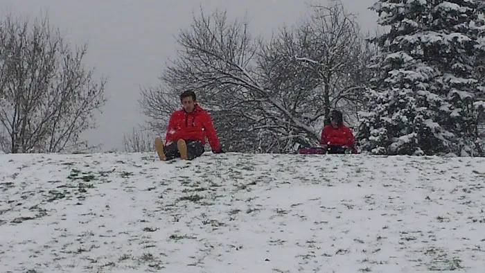 Stewart Park Picture 8