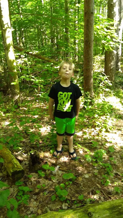Caton Park Picture 2