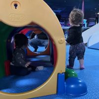 The Family Fun Factory ico