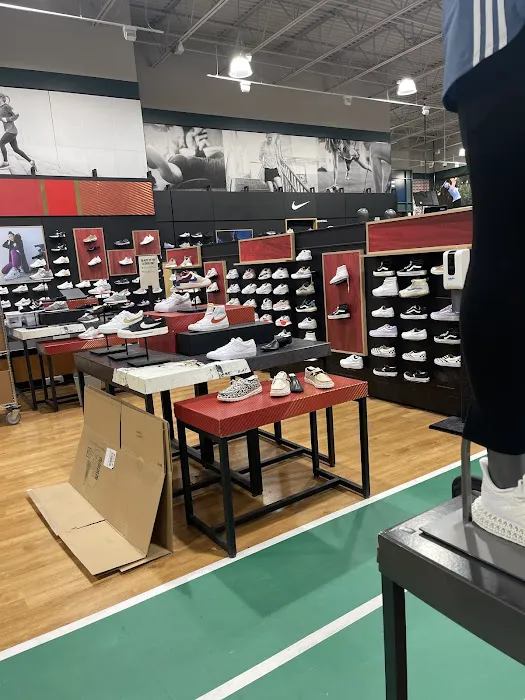 DICK'S Sporting Goods Picture 7