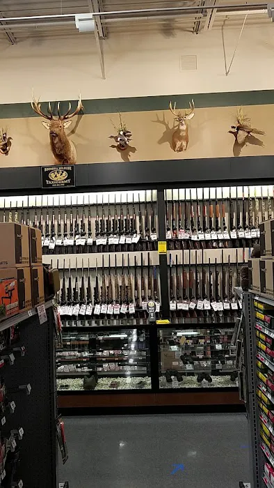 DICK'S Sporting Goods Picture 8