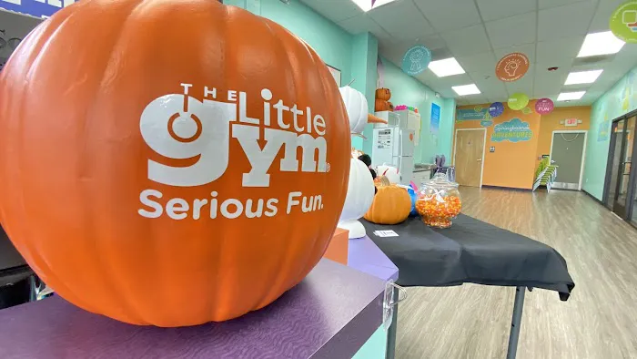 The Little Gym of Jacksonville, NC Picture 4