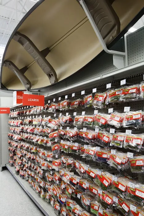 Academy Sports + Outdoors Picture 5
