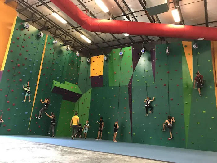 Planet Obstacle - Adventure Park Picture 6