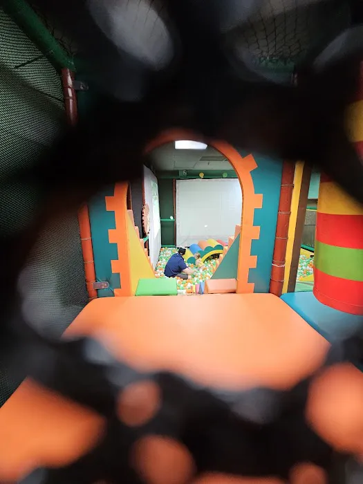 Jungle world indoorplayground Picture 3