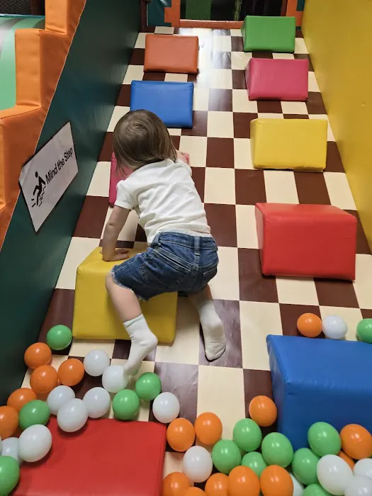 Jungle world indoorplayground Picture 8