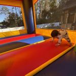 The Bounce House Kings LLC