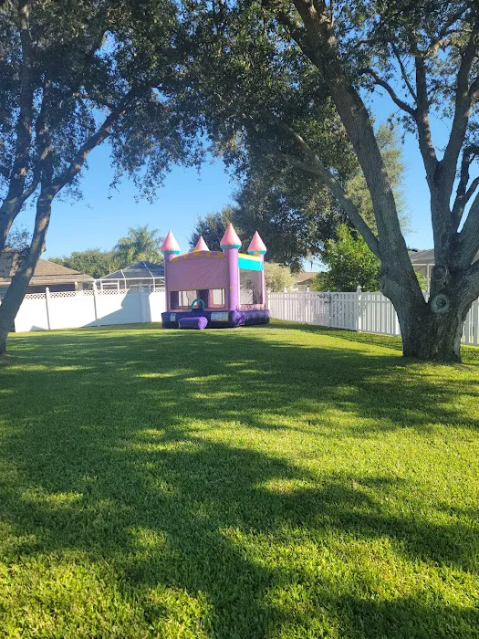 The Bounce House Kings LLC Picture 10